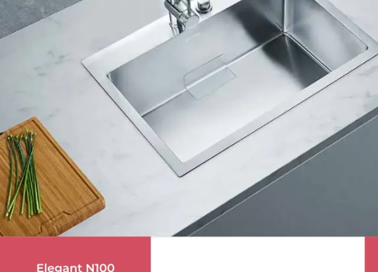 Elegant N100